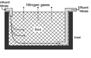 denitrification wall and bed